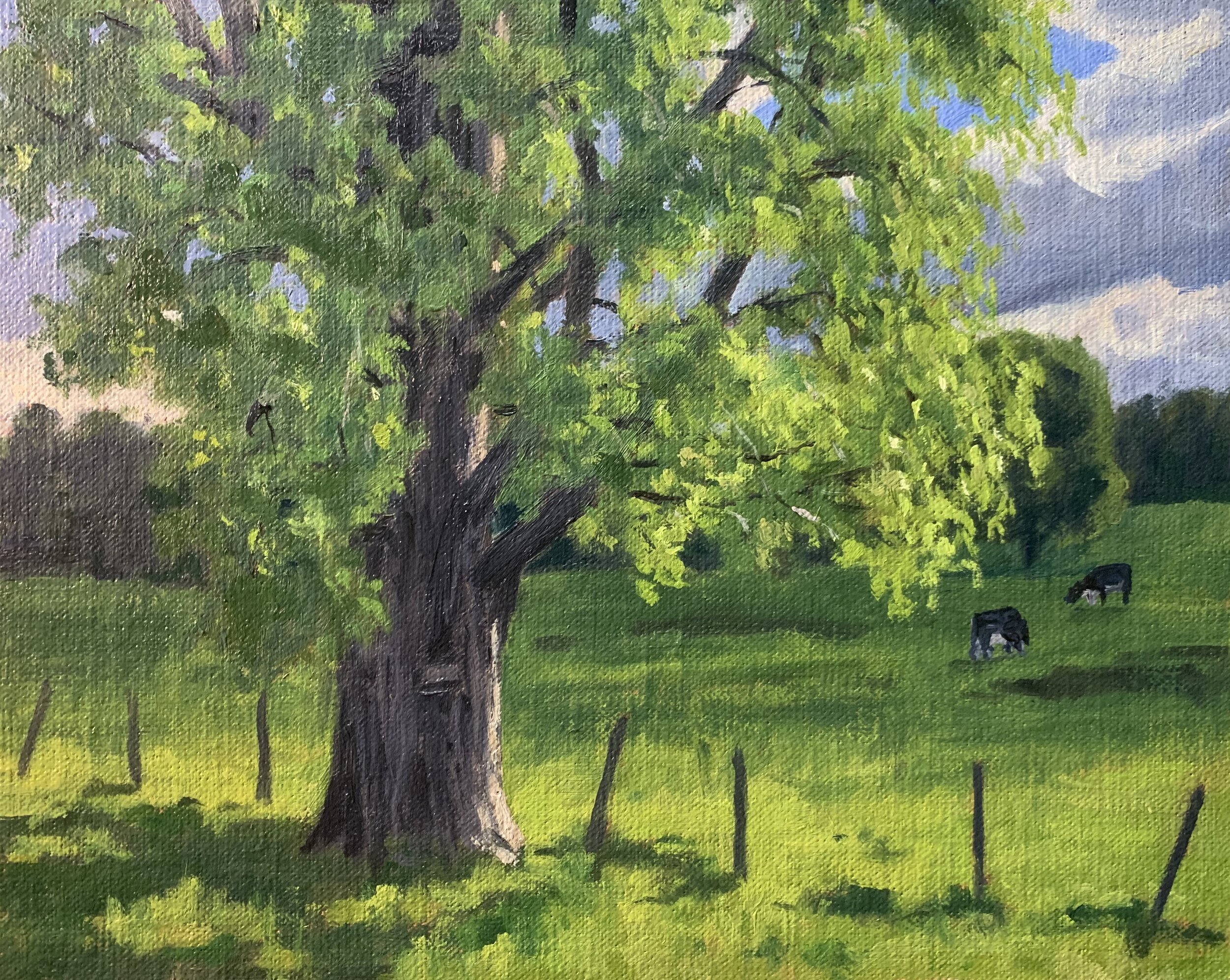 How to Paint Trees and Leaves Samuel Earp