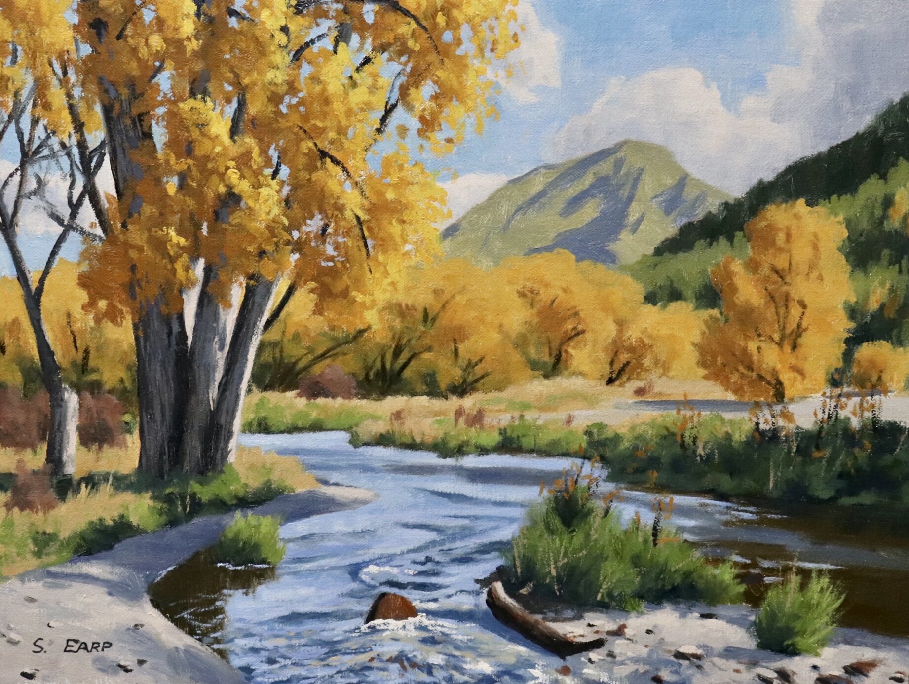 Autumn Poplars and Willows - Arrowtown - Samuel Earp - Oil Painting.jpg
