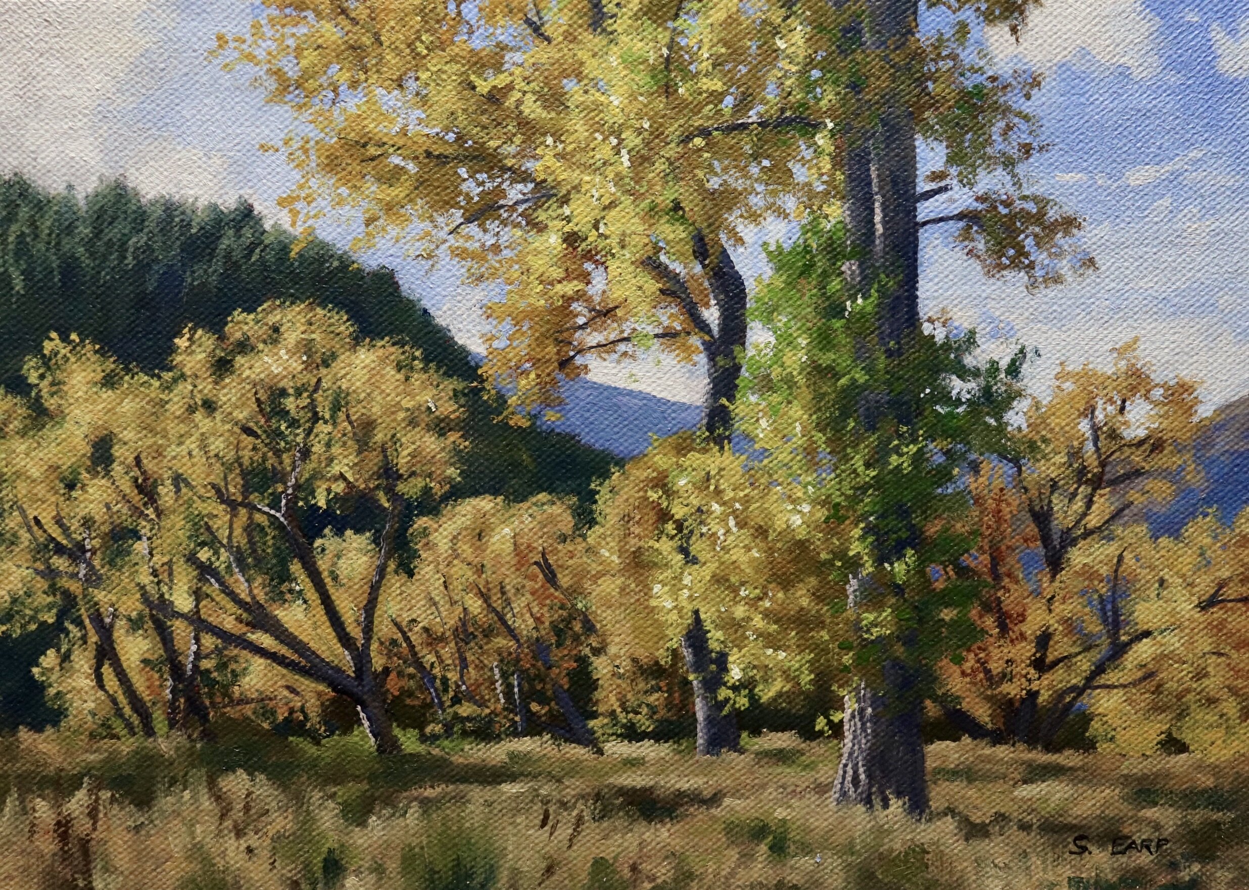 Autumn Willows and Poplars - Samuel Earp Landscape Artist - Oil Painting.jpeg