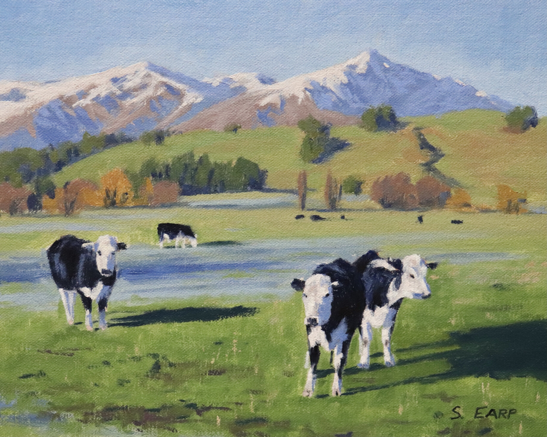 Cow - Winter - Queenstown - oil painting - Samuel Earp.JPG