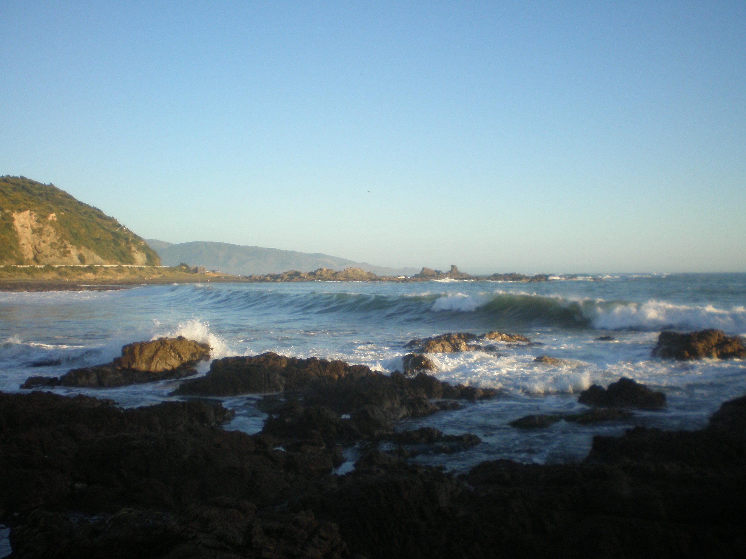 Houghton Bay - Wellington