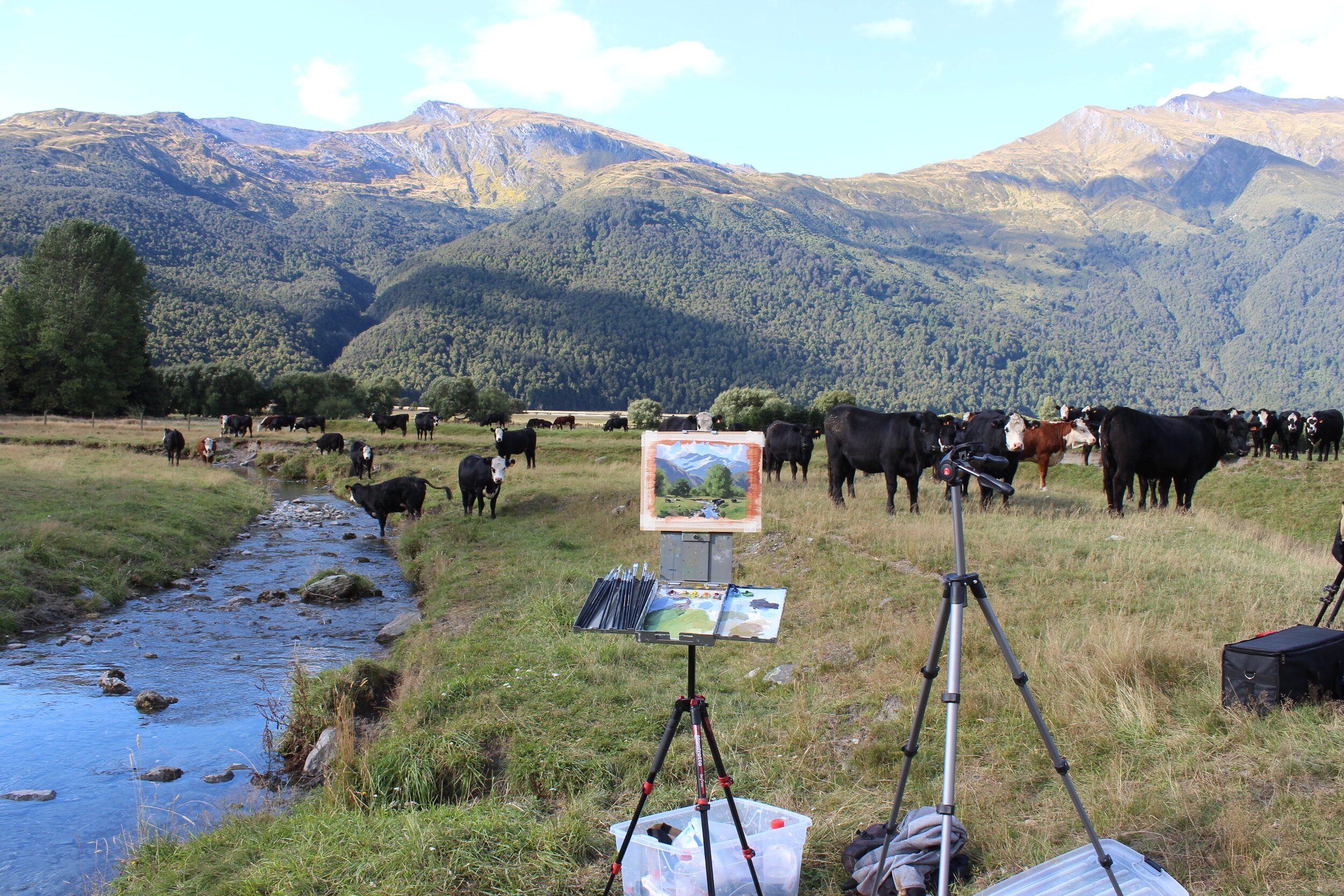 My finished plein air painting in the Matukituki Valley