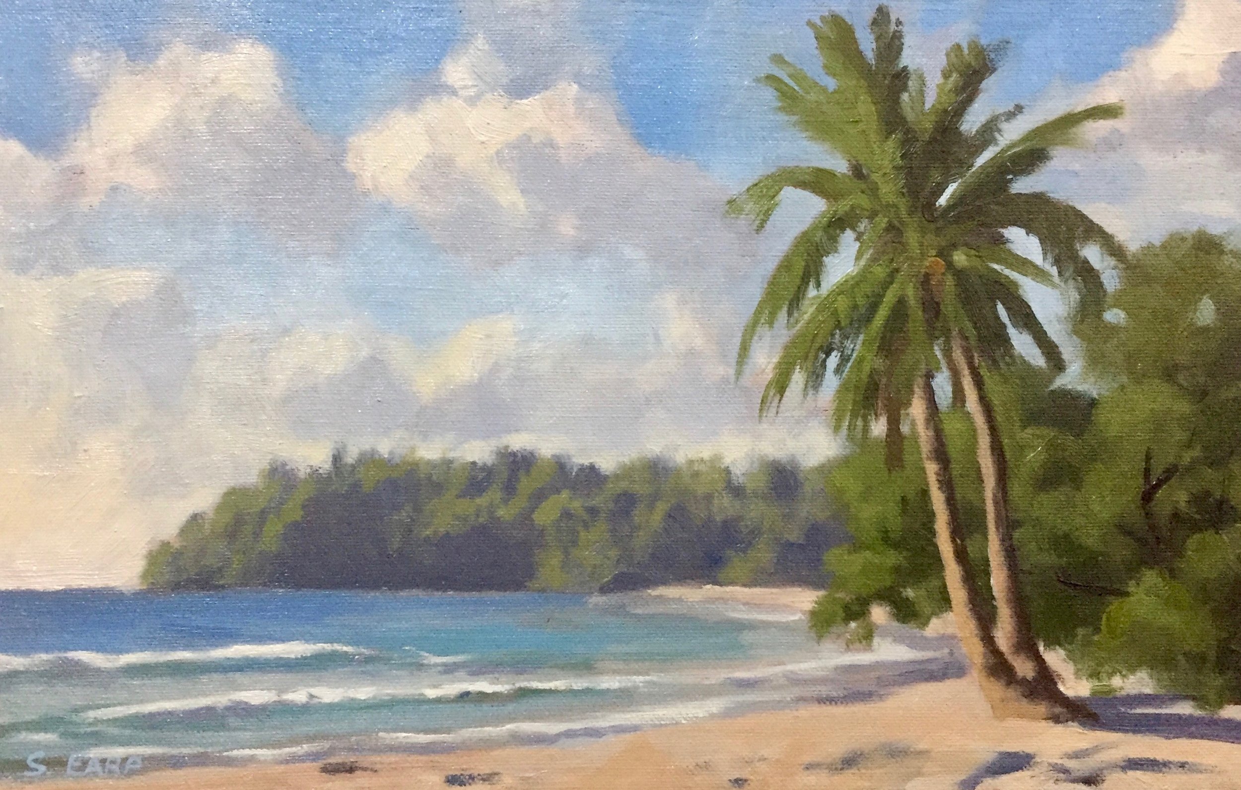 Kata Beach Thailand - palm - plein air - Samuel Earp.jpg