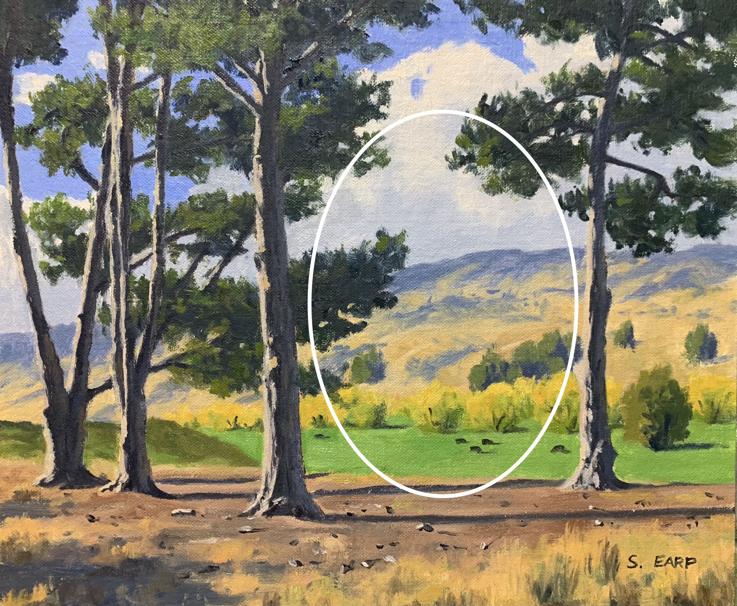 Pine Trees - Otago - oil painting - Samuel Earp copy.jpeg