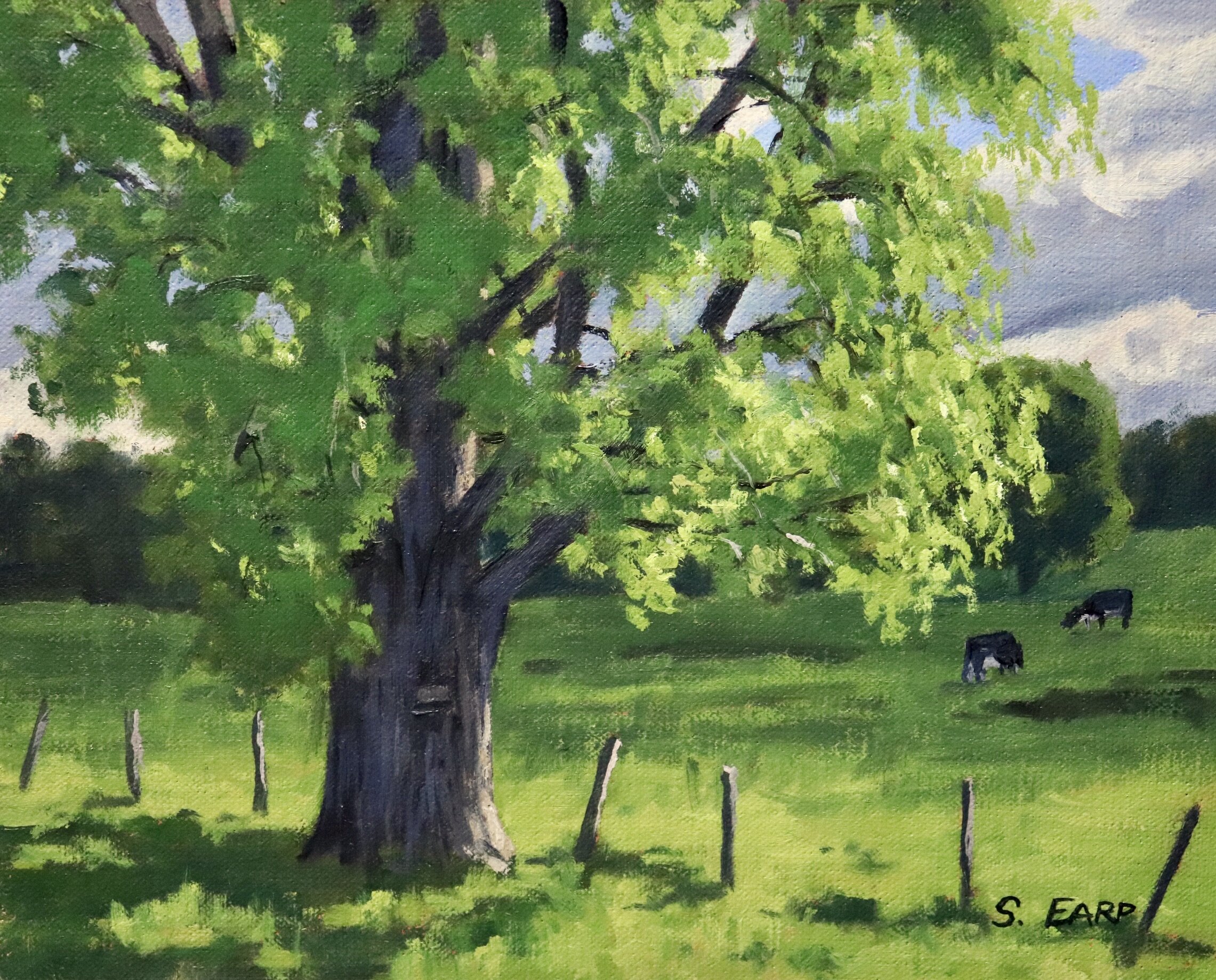 Poplar Tree - Samuel Earp Landscape Artist - oil painting.jpeg