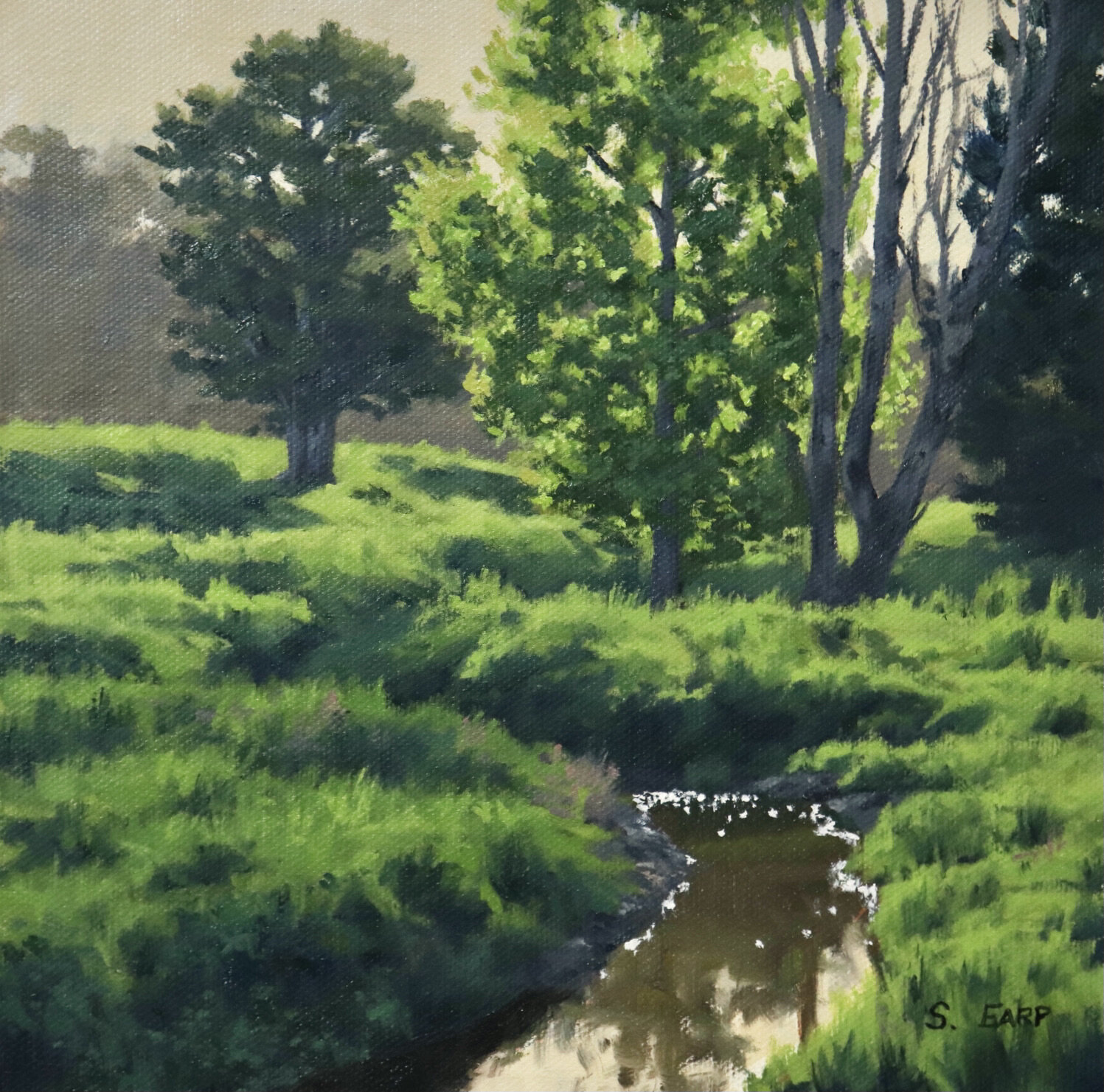 Sunlit Trees - Samuel Earp - oil painting.JPG