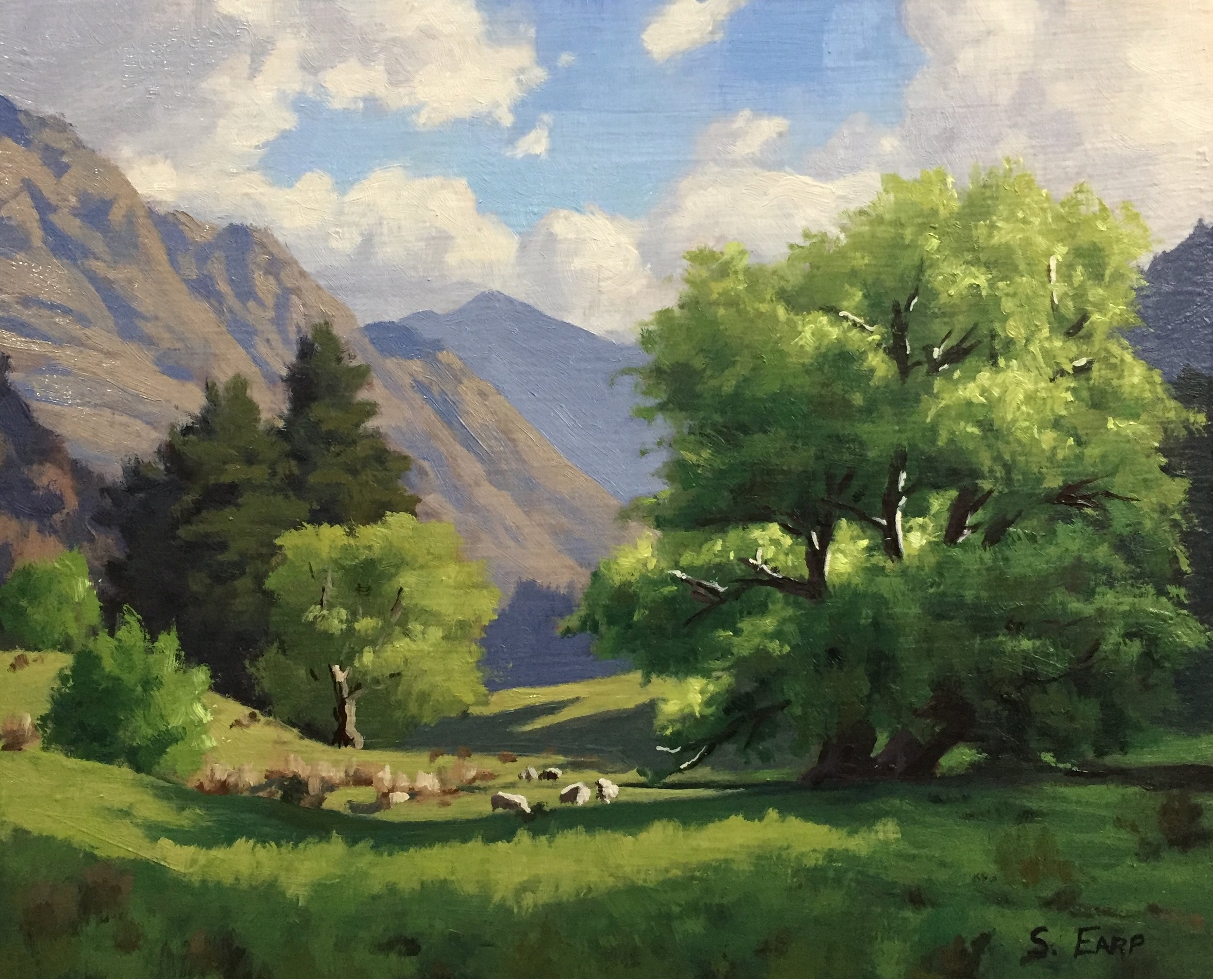 Willow Trees, Queenstown, 8” x 10”, oil on wooden panel
