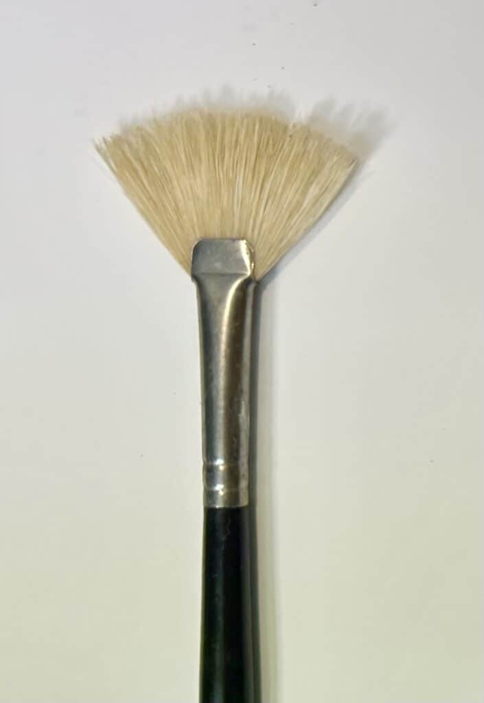 Eco-friendly Fan Brush